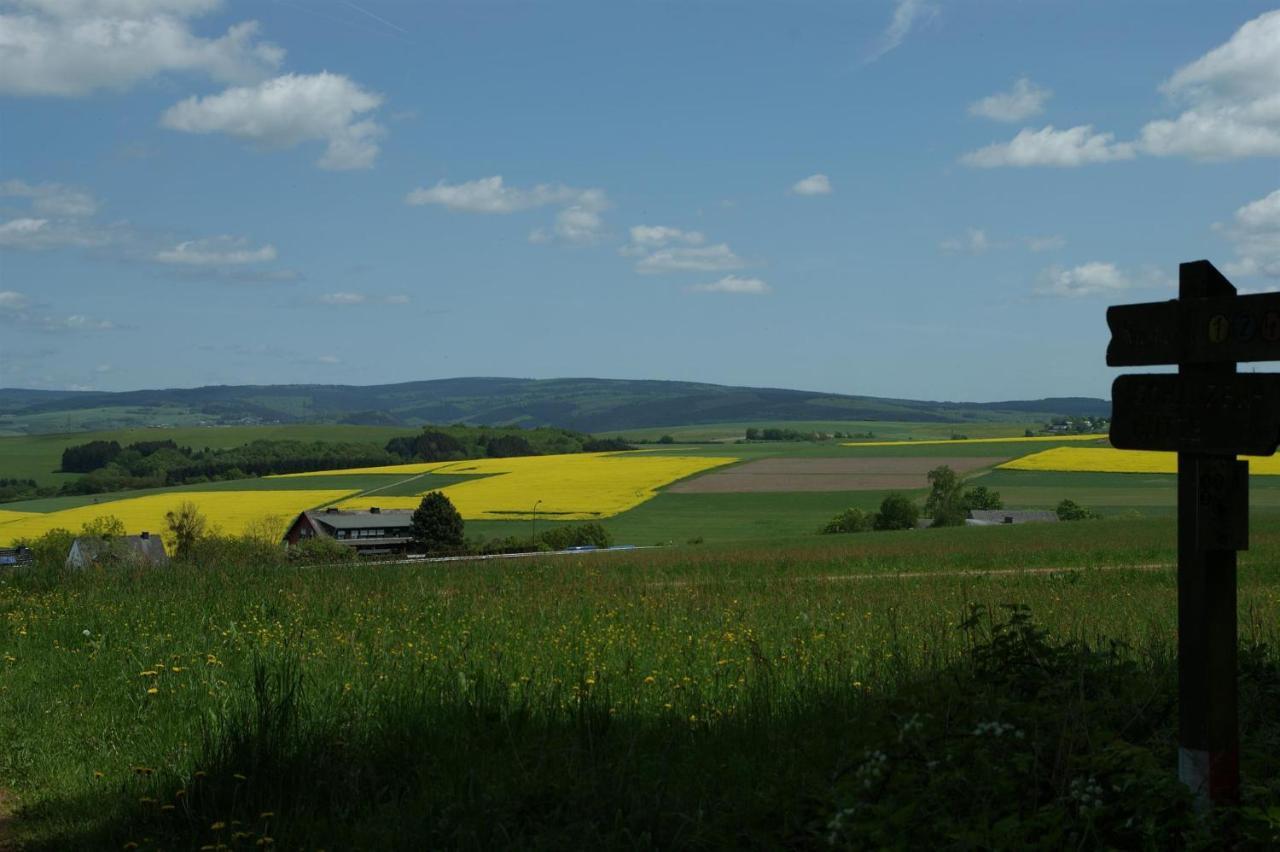 Klein'S Hochwaldscheune Pellingen Buitenkant foto